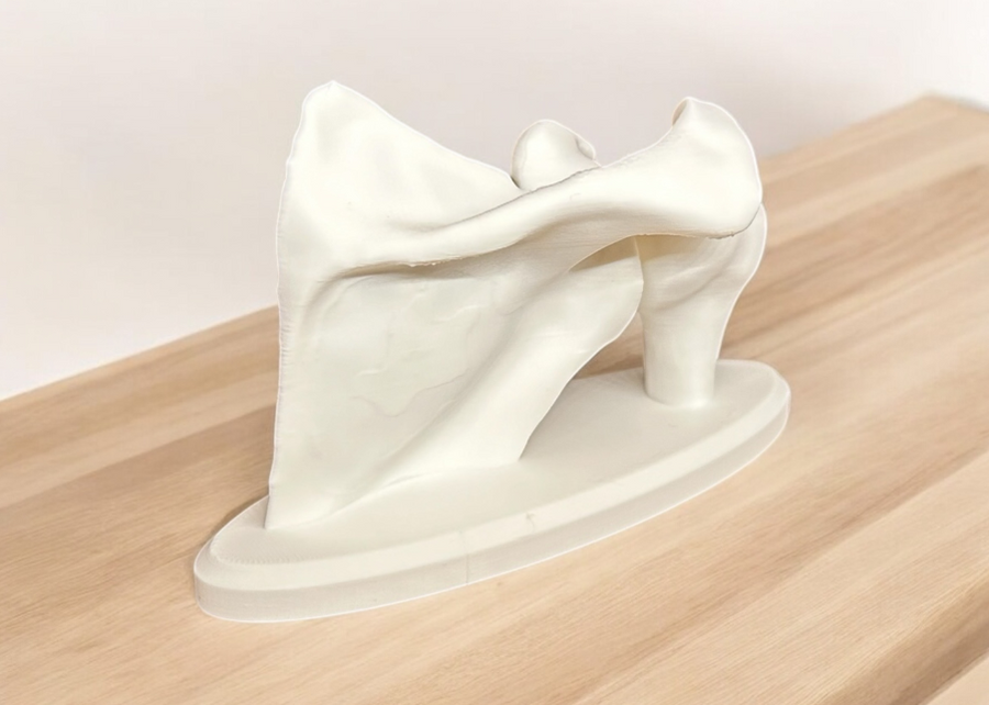 Modelos Anatómicos en 3D