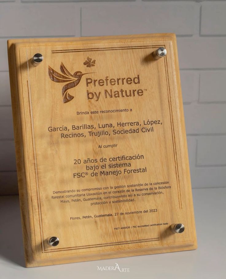 Placas de Homenaje Personalizadas